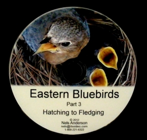 Part 3: Hatching to Fledging