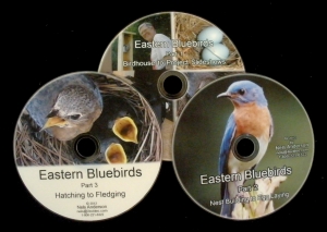 Bluebird video bundle : Parts: 1 ,2 and 3